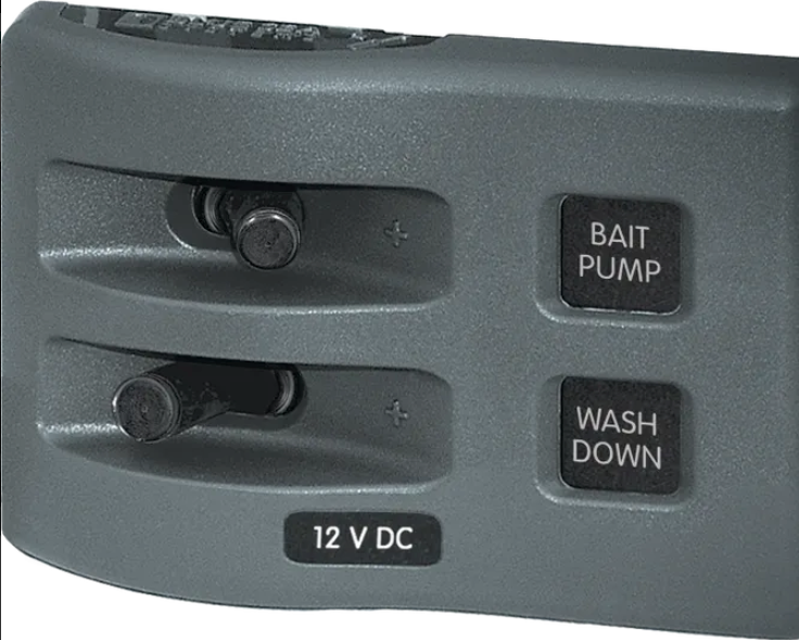 PANEL 12VDC WP SWITCH PANEL - GRAY 2P BS-4303